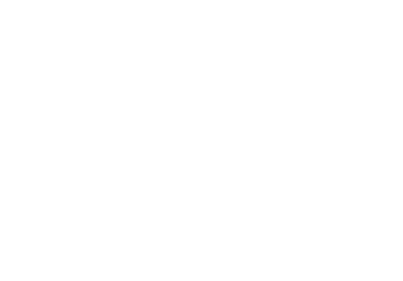 TriVertex